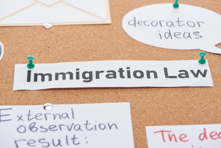 Paper Cards With Decorator Ideas And Immigration Law Texts Pinned on Cork Office Board